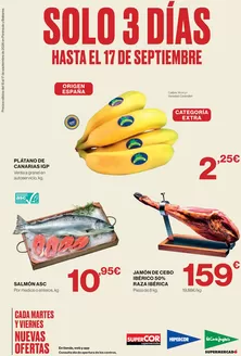 Catálogo El Corte Inglés | Solo 3 días | 2026-09-15T00:00:00.000Z - 2026-09-17T00:00:00.000Z