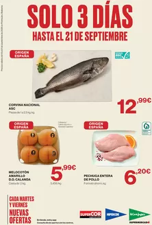 Catálogo Hipercor | Hasta El 21 De Septiembre | 2026-09-18T00:00:00.000Z - 2026-09-21T00:00:00.000Z