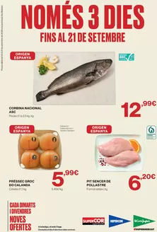 Catálogo Hipercor | Fins Al 21 De Setembre | 2026-09-18T00:00:00.000Z - 2026-09-21T00:00:00.000Z