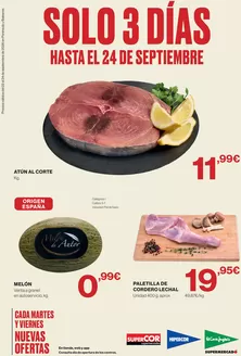 Catálogo Hipercor | Solo 3 Días | 2026-09-22T00:00:00.000Z - 2026-09-24T00:00:00.000Z