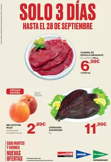Catálogo El Corte Inglés en Ingenio | Hasta El 28 De Septiembre | 2026-09-25T00:00:00.000Z - 2026-09-28T00:00:00.000Z