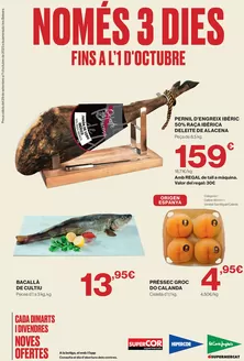 Catálogo El Corte Inglés | Només 3 Dies | 2026-09-29T00:00:00.000Z - 2026-10-01T00:00:00.000Z