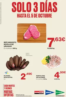 Catálogo Supercor | Solo 3 días | 2026-10-02T00:00:00.000Z - 2026-10-05T00:00:00.000Z