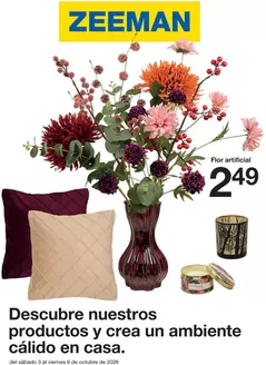 Catálogo ZEEMAN | Descubre nuestros productos y crea un ambiente cálido en casa | 2026-10-05T00:00:00.000Z - 2026-10-09T00:00:00.000Z