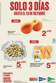 Catálogo El Corte Inglés | Hasta El 12 De Octubre | 2026-10-09T00:00:00.000Z - 2026-10-12T00:00:00.000Z