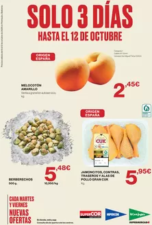 Catálogo Supercor | Solo 3 días | 2026-10-09T00:00:00.000Z - 2026-10-12T00:00:00.000Z