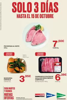 Catálogo El Corte Inglés | Hasta El 15 De Octubre | 2026-10-13T00:00:00.000Z - 2026-10-15T00:00:00.000Z