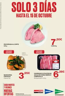 Catálogo Supercor | Solo 3 días | 2026-10-13T00:00:00.000Z - 2026-10-15T00:00:00.000Z