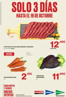 Catálogo Supercor | Solo 3 días | 2026-10-16T00:00:00.000Z - 2026-10-19T00:00:00.000Z