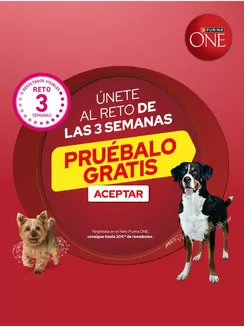 Catálogo Purina en Barco de Valdeorras | Únete al Reto de las 3 semanas de Purina ONE | 2026-10-19T00:00:00.000Z - 2026-11-22T00:00:00.000Z