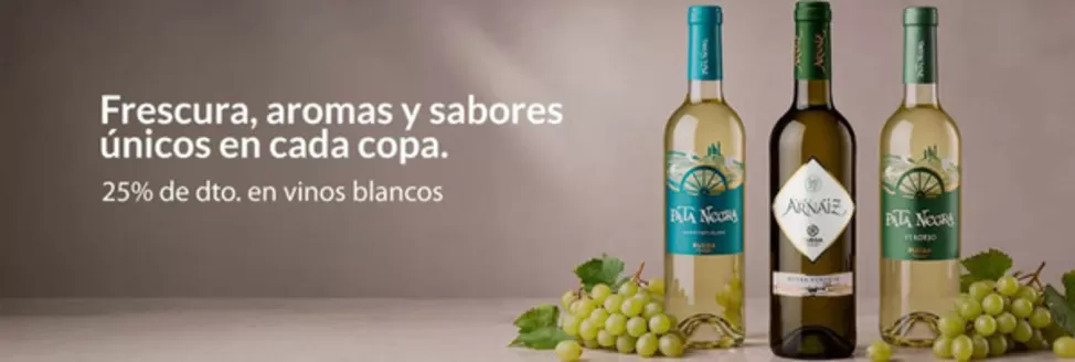 Catálogo Garcia Carrión | 25% de dto. en vinos blancos | 2026-10-26T00:00:00.000Z - 2026-11-08T00:00:00.000Z