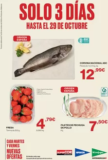 Catálogo Hipercor en Torrent | Solo 3 días | 2026-10-27T00:00:00.000Z - 2026-10-29T00:00:00.000Z