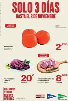 Catálogo Hipercor | Solo 3 días | 2026-10-30T00:00:00.000Z - 2026-11-02T00:00:00.000Z