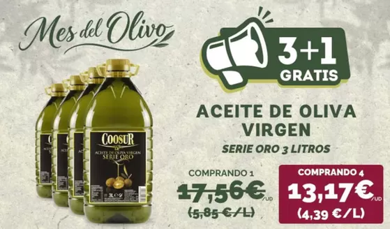 Catálogo Coosur | Promoción | 2026-10-30T00:00:00.000Z - 2026-11-12T00:00:00.000Z