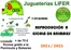 Catálogo Jugueterías Lifer | Reprodución A Escala De Animales | 2024-01-01T00:00:00.000Z - 2025-12-31T00:00:00.000Z