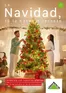 Catálogo Leroy Merlin | Novedades y ofertas para celebrar la Navidad | 2025-10-31T00:00:00.000Z - 2025-12-26T00:00:00.000Z