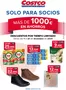 Catálogo Costco | Descuentos Por Tiempo Limitado | 2025-12-04T00:00:00.000Z - 2025-12-21T00:00:00.000Z