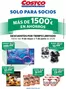 Catálogo Costco | Válido del 11 de mayo al 7 de junio de 2026 | 2026-05-12T00:00:00.000Z - 2026-06-07T00:00:00.000Z