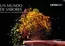 Catálogo Catai en Setcases | Un Mundo De Sabores | 2026-05-19T00:00:00.000Z - 2026-12-31T00:00:00.000Z