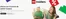 Catálogo LEGO | Ahorra con el precio de LEGO Insiders | 2026-05-22T00:00:00.000Z - 2026-05-31T00:00:00.000Z