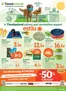 Catálogo Tiendanimal en Campllong | Sabem què necessiten aquest estiu | 2026-05-28T00:00:00.000Z - 2026-06-24T00:00:00.000Z