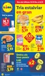 Catálogo Lidl en Vilademuls | № 1 PRECIO - Ofertas válidas del 31/08 al 06/09 | 2026-08-31T00:00:00.000Z - 2026-09-06T00:00:00.000Z