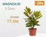 Catálogo Verdecora en Museros | Oferta | 2026-09-30T00:00:00.000Z - 2026-10-13T00:00:00.000Z