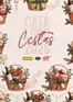Catálogo Cash Ifa | Catálogo Cestas 2026 | 2026-10-15T00:00:00.000Z - 2026-12-31T00:00:00.000Z