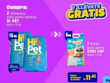 Cat - Alimentos para gatos adultos, Arena para gatos