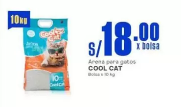 Cat - Arena para gatos