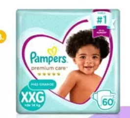 Pampers - XXG