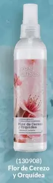 Orquídea - Flor de Cerezo y