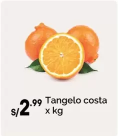 Costa - Tangelo costa