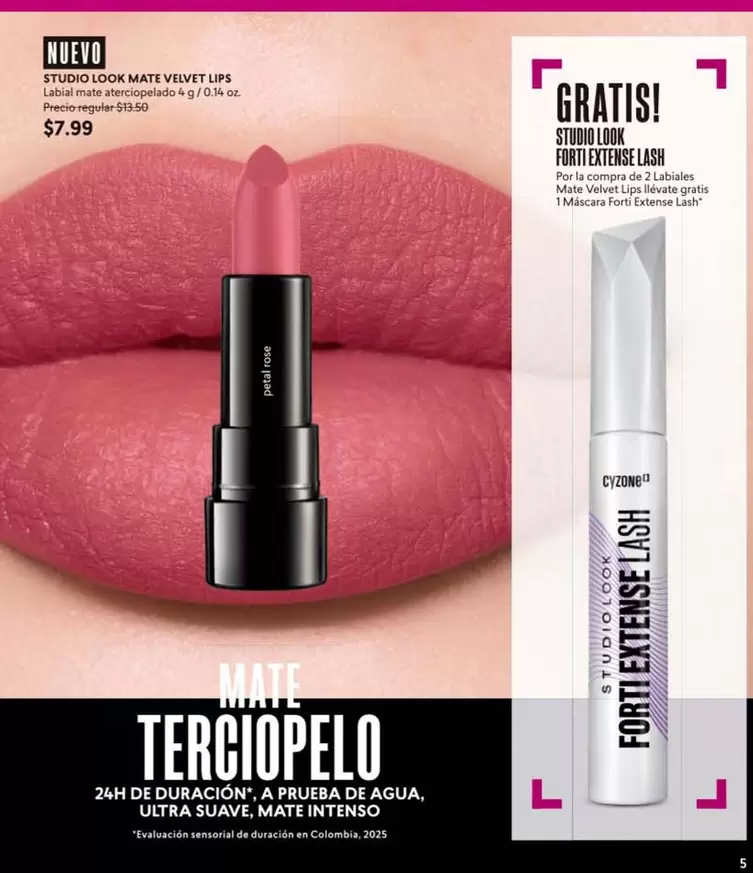 Studio - STUDIO LOOK MATE VELVET LIPS, STUDIO LOOK FORTI EXTENSE LASH