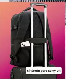 cinturón para carry on