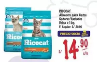 Ricocat - Alimento para Gatos
