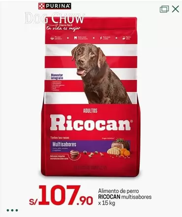 Vida - RICOCAN multisabores