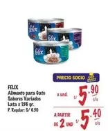 Gato - Alimento para  Sabores Variados
