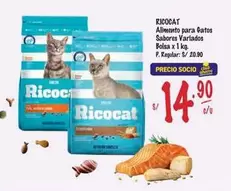 Ricocat - Alimento para Gatos