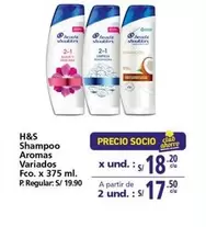 Shampoo Aromas Variados