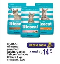 Ricocat - Alimento para Gato Adulto/Gatitos