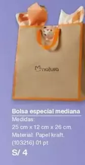 Natura - Bolsa especial mediana