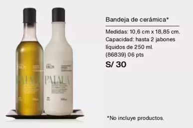 PTS - Bandeja de cerámica