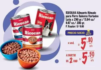 Ricocan - Alimento Húmedo para Perro Sabores Variados