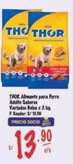 Thor - Alimento para Perro Adulto Sabores Variados