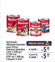 Ricocan - Alimento Húmedo para Perro Sabores Variados