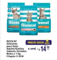 Ricocat - Alimento para Gato Adulto/Gatitos Sabores Variados