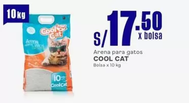Cat - Arena para gatos