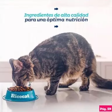 Ricocat -  -