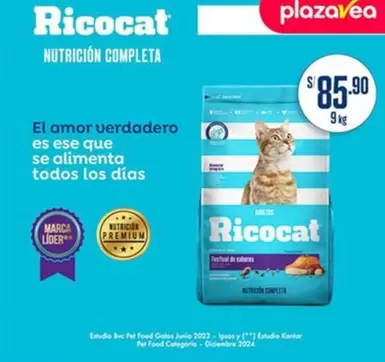 Ricocat -  -
